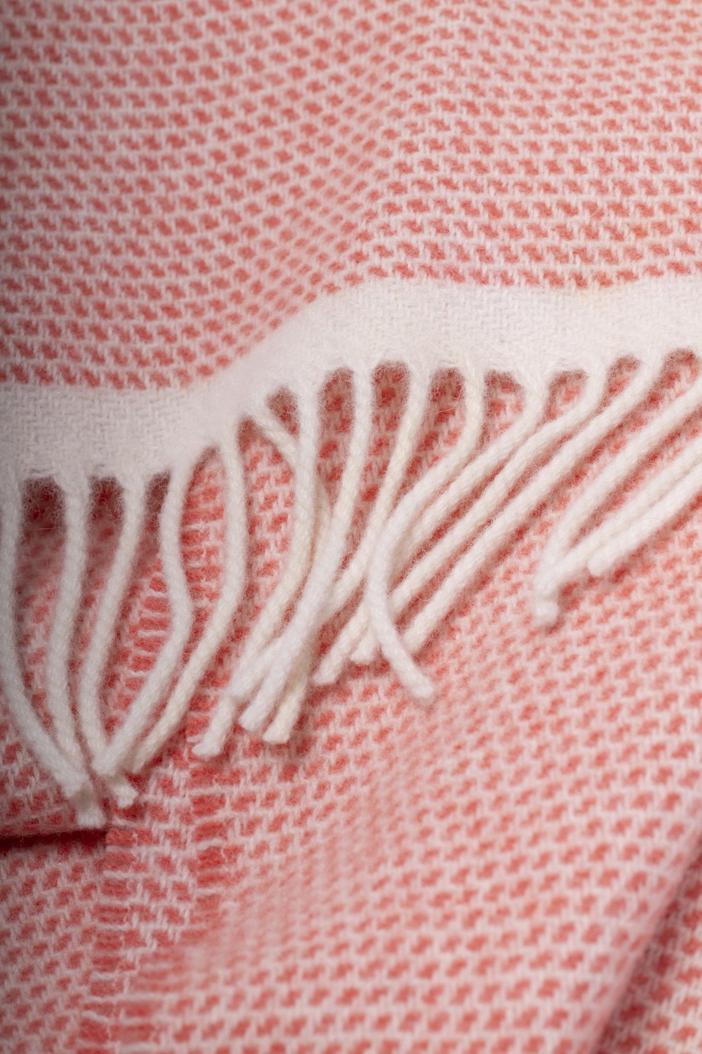 Coral Duiske Merino Lambswool Scarf - Cushendale Woollen Mills